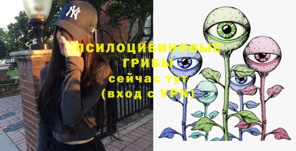 альфа пвп Надым